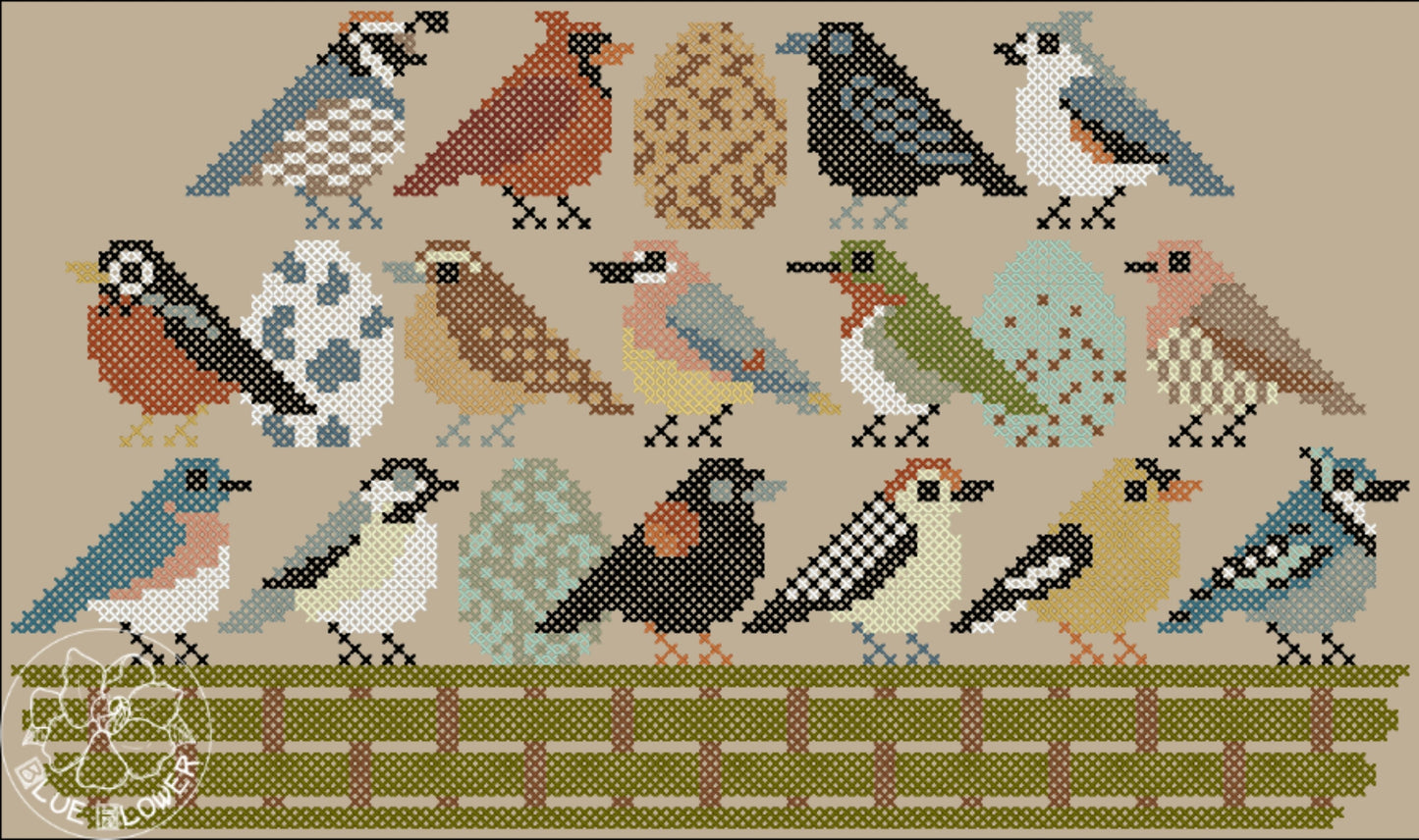 Birdy Bowl