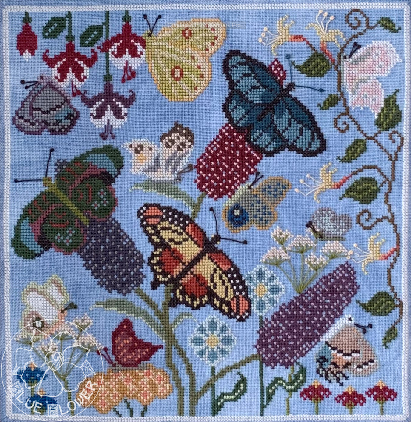 Butterfly Garden