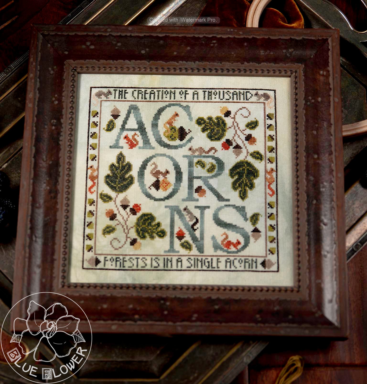 Acorns - small photo.jpeg