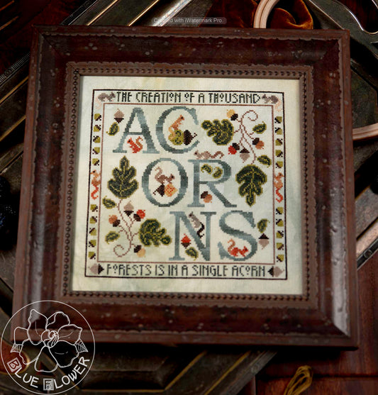 Acorns - small photo.jpeg