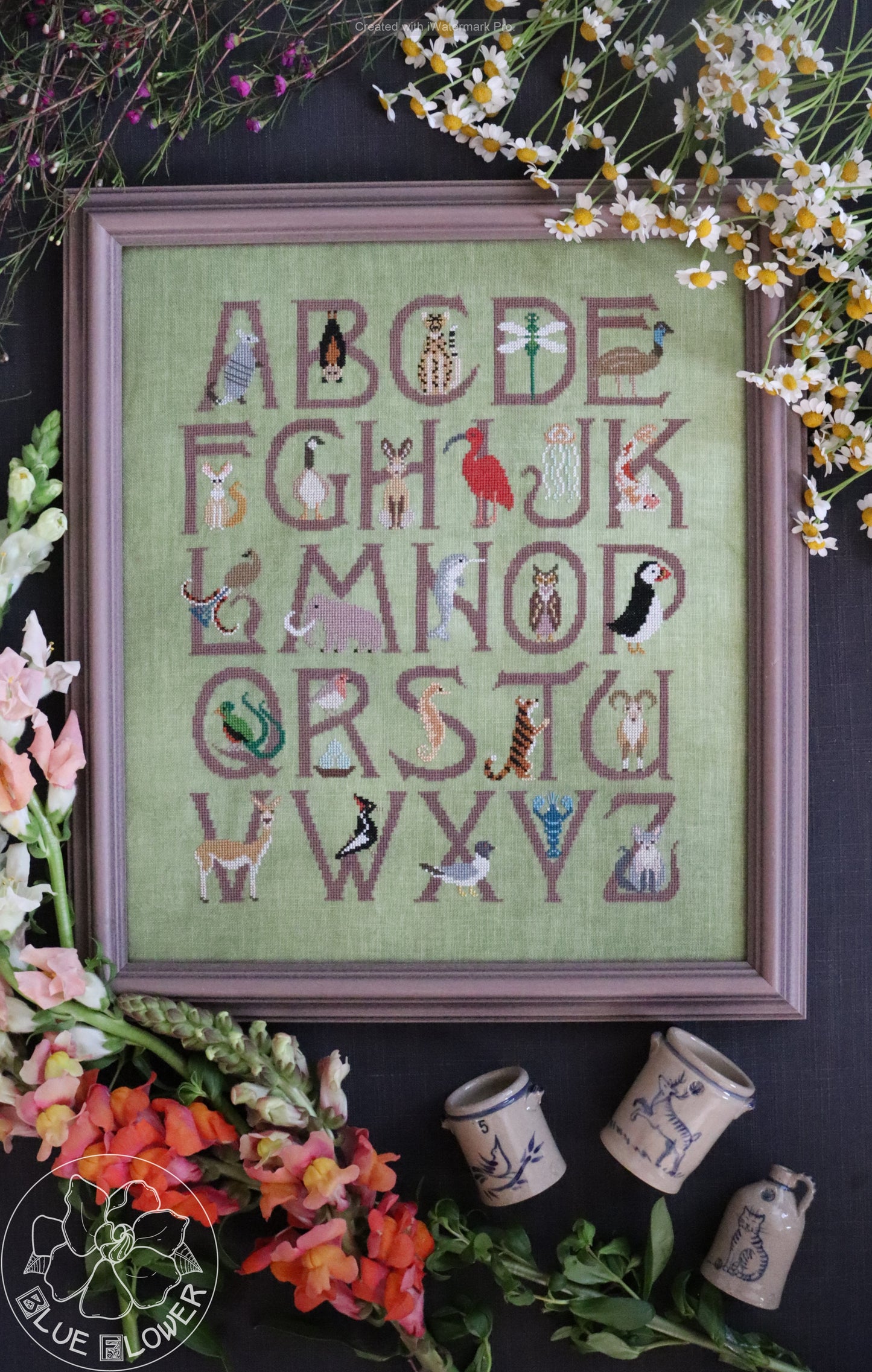 Animal Alphabet